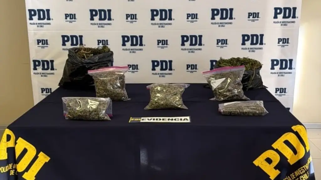Droga incautada por la PDI, PDI Araucanía