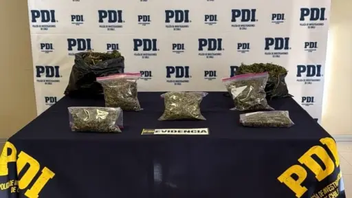 Incautan más de dos kilos de marihuana tras operativo antidrogas en Angol