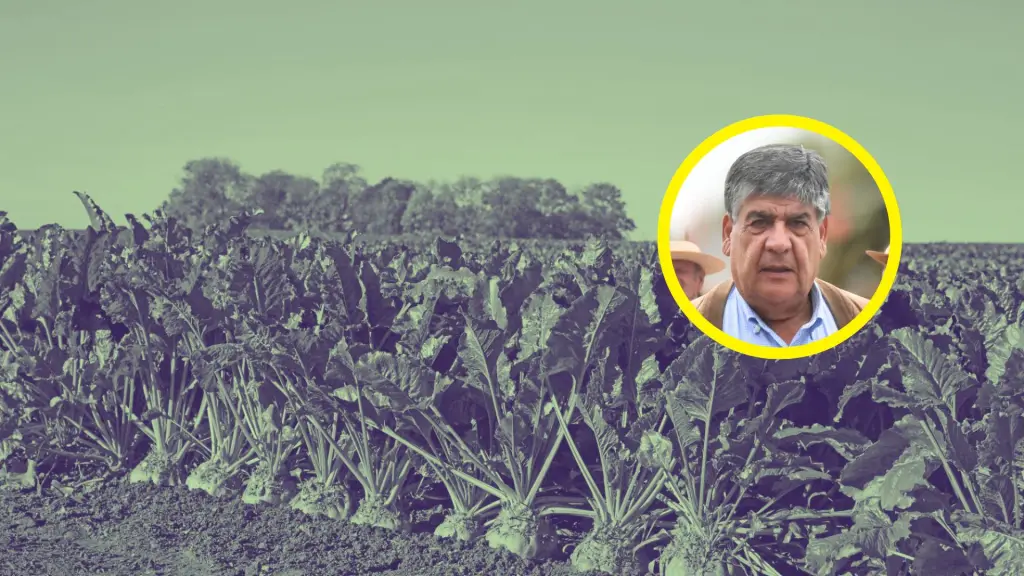 Jorge Guzmán Acuña se encuentra en Santiago realizando gestiones ante el Ministerio de Agricultura para abordar efectos del anuncio de Iansa en el sector remolachero., La Tribuna