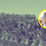 Jorge Guzmán Acuña se encuentra en Santiago realizando gestiones ante el Ministerio de Agricultura para abordar efectos del anuncio de Iansa en el sector remolachero., La Tribuna