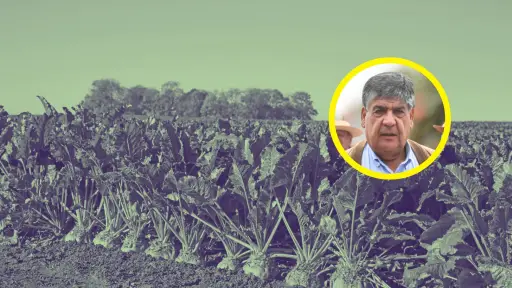 Remolacheros llegan a Santiago tras anuncio de Iansa: se reunirán con ministro de Agricultura