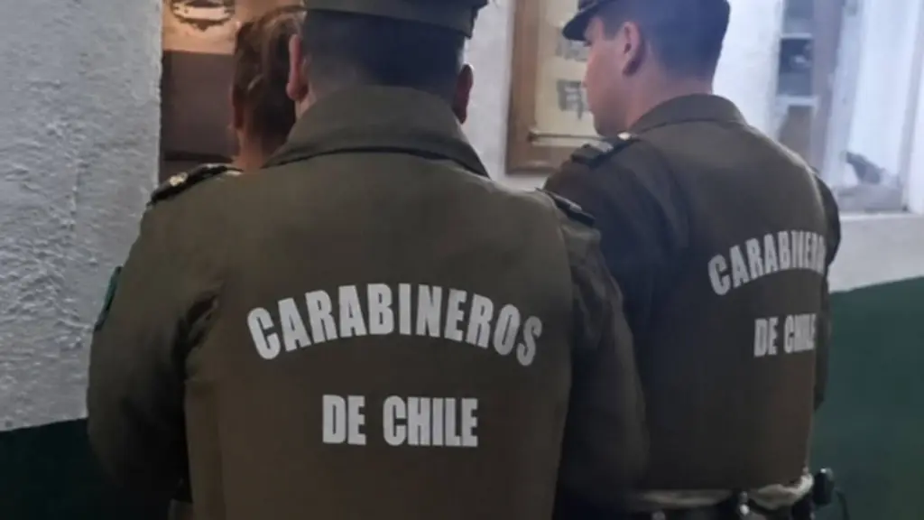 Tras el despliegue policial y ayuda de vecinos del sector, se logró la recuperación de un televisor sustraído., Carabineros de Chile