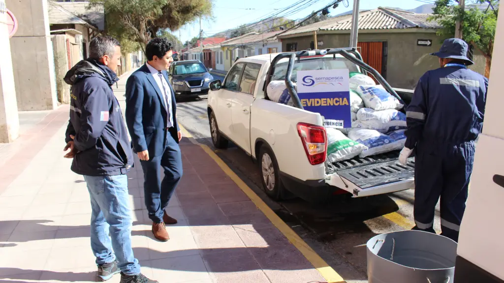 Incautación de machas en Atacama, Ministerio Público
