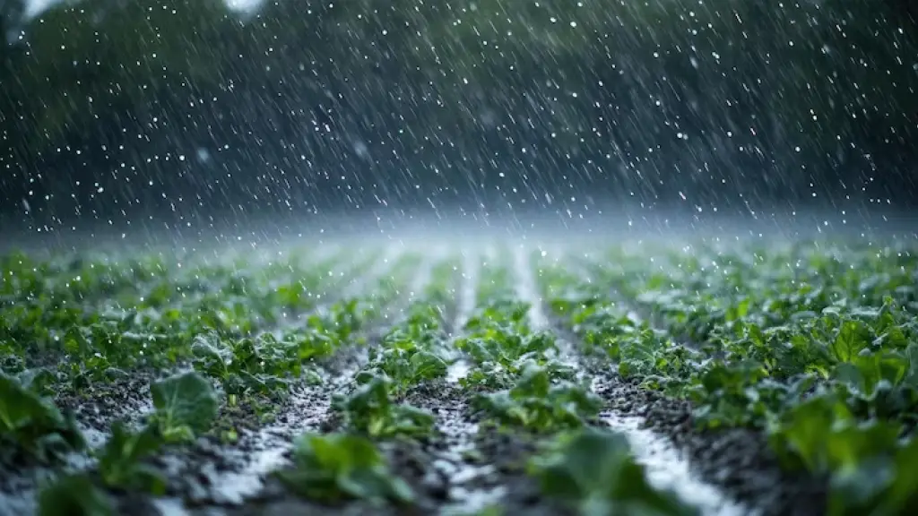 Seis regiones estarán bajo impacto entre martes y miércoles, con foco en afectación agrícola., contexto
