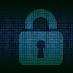 seguridad, cibernético, internet, computadora, red, tecnología, proteccion, intimidad, información, la ciberseguridad, Pixabay