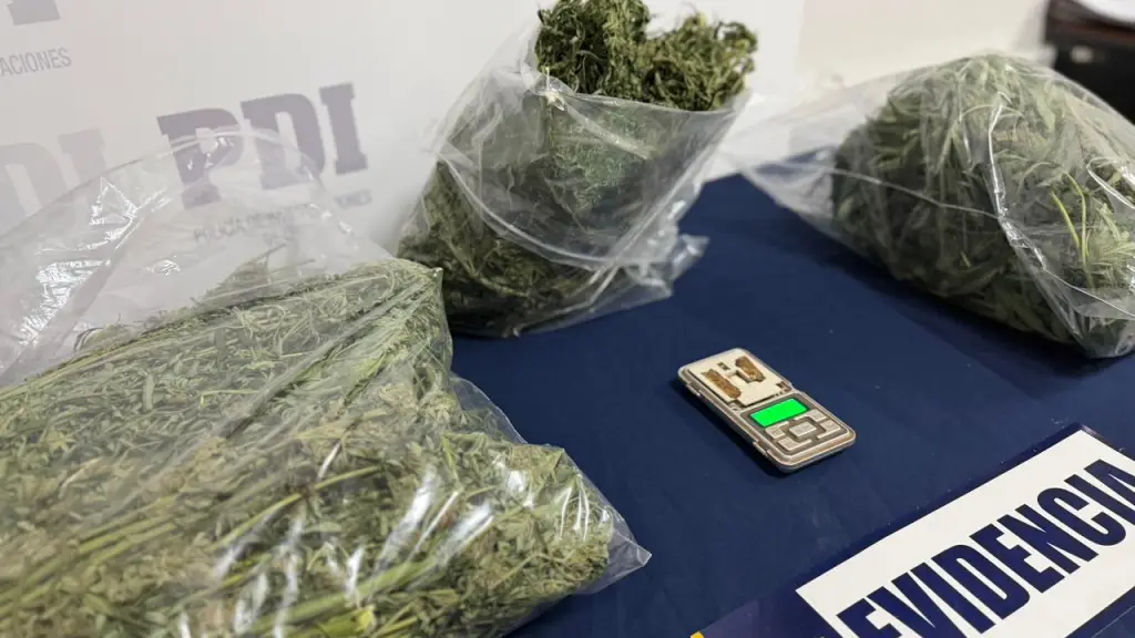 Droga incautada por la PDI en Traiguen, PDI Araucanía
