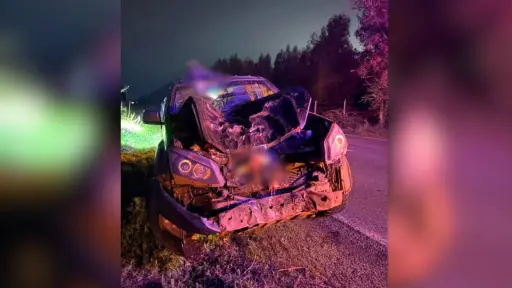 Vehículo terminó con graves daños tras chocar con un caballo en sector Las Ciénagas