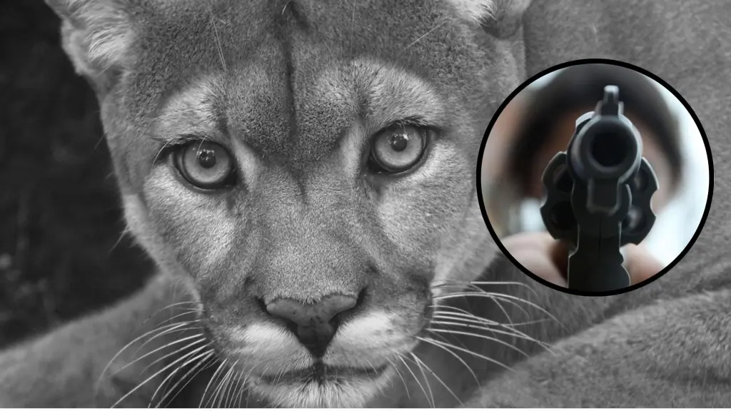 Puma asesinado , Contexto