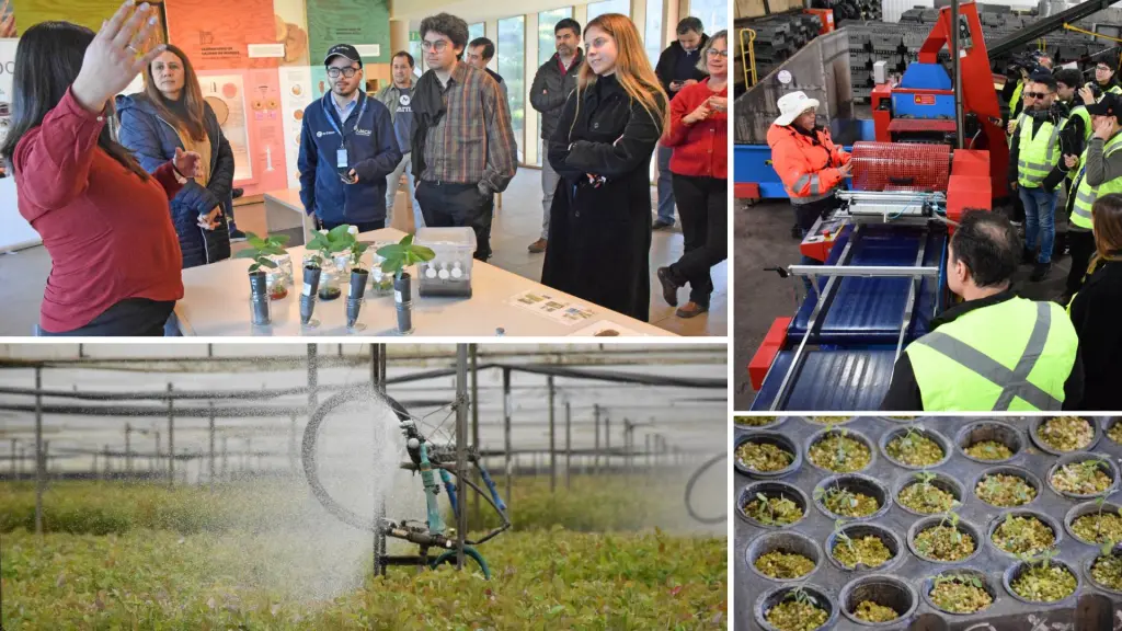 Profesionales del centro de I+D de Los Ángeles explicaron parte de los procesos asociados a mejoramiento genético, micropropagación vegetal y análisis de materiales desarrollados en estas instalaciones., Fredy Muñoz | La Tribuna
