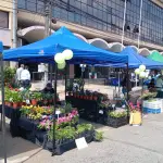 Feria campesina Biobío retorna con productos de temporada en Los Ángeles, cedida