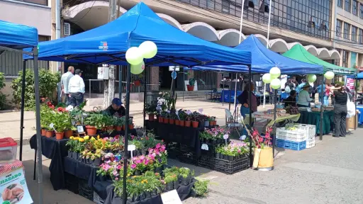 Feria campesina Biobío retorna con productos de temporada en Los Ángeles