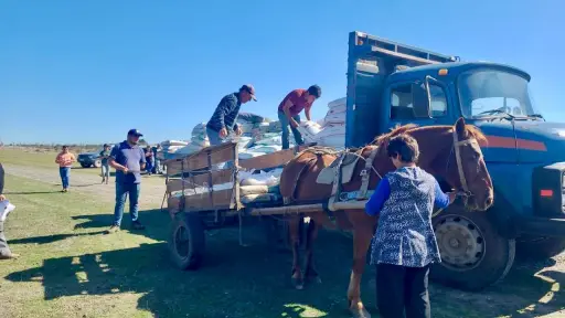 Más de mil productores rurales del Biobío reciben apoyo para enfrentar escasez de forraje