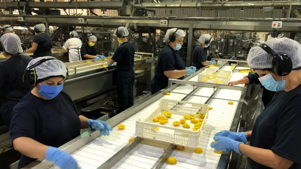 Las exportaciones agroindustriales chilenas alcanzaron la cifra de 218 mil toneladas físicas enviadas mediante puertos comerciales de embarque durante el primer trimestre de este año.