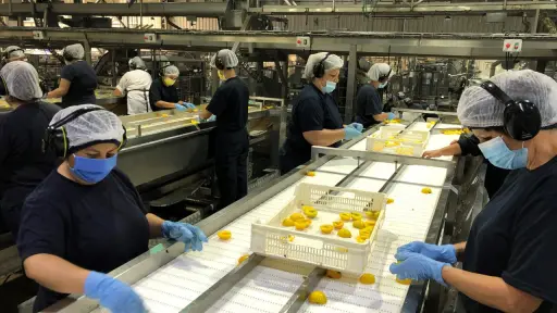 Exportaciones agroindustriales de Chile crecen un 24% y rozan sus máximos históricos al primer trimestre del año