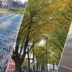 El sistema de alta presión instalado en el centro-sur del país ha impedido el ingreso de sistemas frontales a la región del Biobío durante mayo., Edición Diario La Tribuna