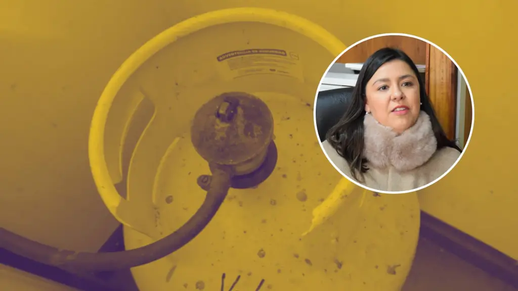 Ana María Abello entregó detalles sobre el proceso de activación y funcionamiento del cupón de gas impulsado por el Gobierno en el marco del plan “Chile Sale Adelante”., La Tribuna