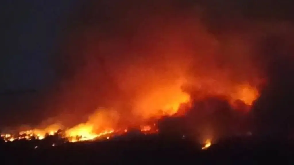Más de 560 hectáreas consumidas: Incendio forestal de Antuco continúa con avance lento y lejos de zonas habitadas, La Tribuna