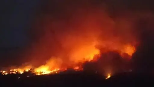Más de 560 hectáreas consumidas: Incendio forestal de Antuco continúa con avance lento y lejos de zonas habitadas