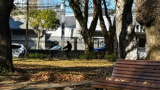 Habría intentado otros robos: Asaltante de Plaza Pinto habría merodeado el sector cerca de una hora