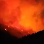 La emergencia, que ya consume 486 hectáreas en la Región del Biobío, obligó la activación de alertas SAE., cedida