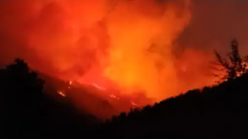 Antuco se mantiene bajo Alerta Amarilla por incendio forestal que ya supera las 480 hectáreas