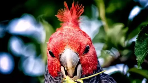 Expertos advierten amenaza a la biodiversidad y llaman a proteger especies en peligro