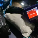 Operativo antidrogas en el Gran Concepción, Carabineros de Chile