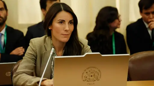 Gobierno impulsará reforma al SAE y evalúa reponer selección por mérito académico