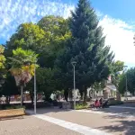 El calendario de actividades comenzará el sábado con exposiciones de autos antiguos en las plazas de Tucapel, Huépil, Trupán y Polcura., Redes sociales