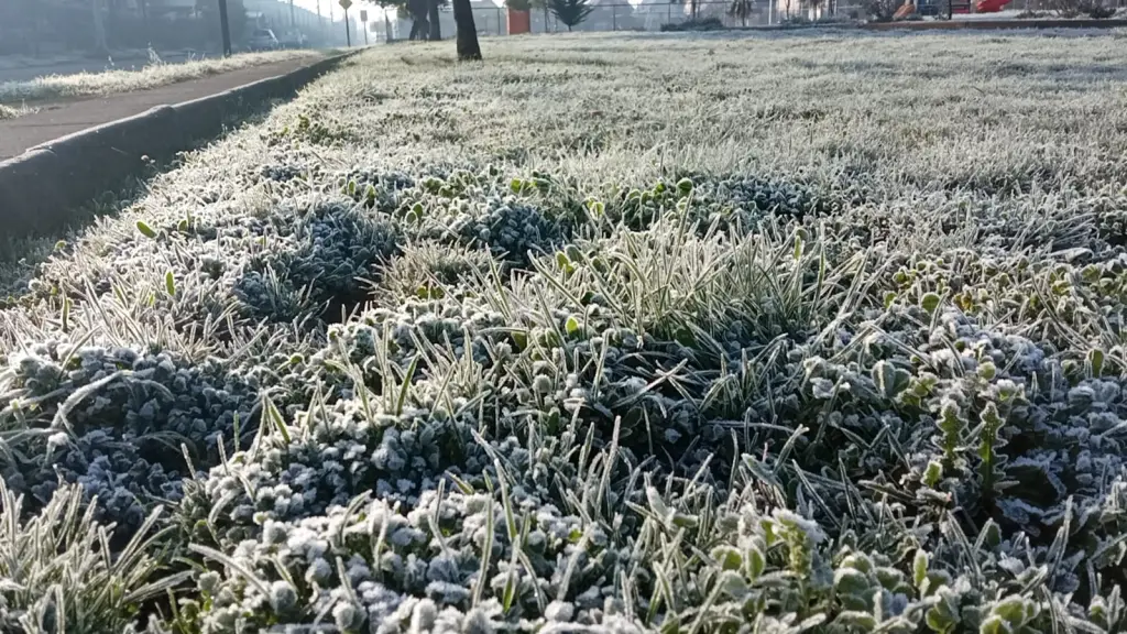 La madrugada de este martes, los registros llegaron hasta los -2°C en sectores cercanos a la ciudad de Los Ángeles. , La Tribuna