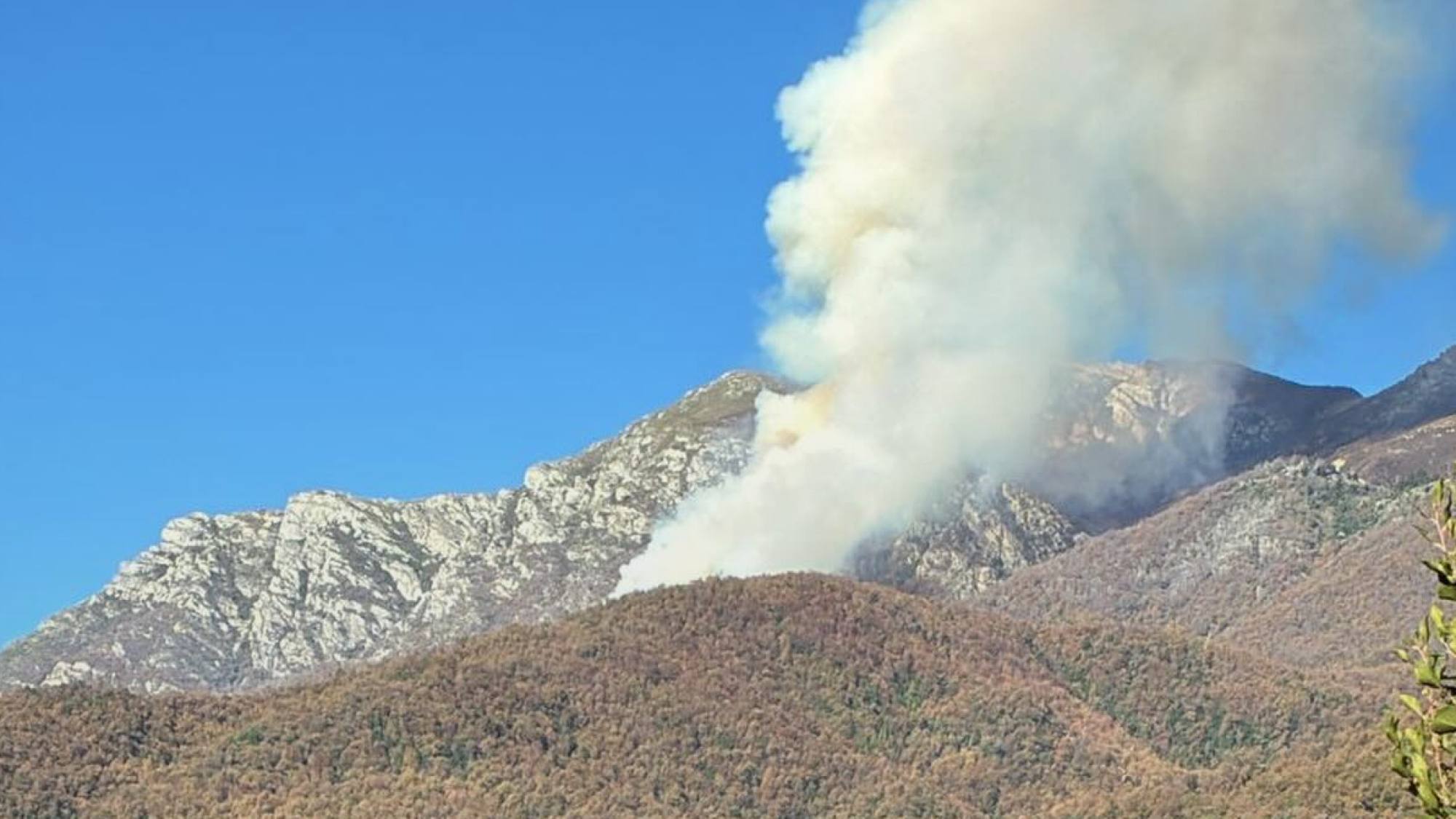 Reportan incendio forestal en sector Quillaileo de Santa Bárbara: emergencia se mantiene bajo observación