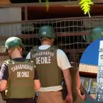 AHORA: Niña de sexto básico habría sido herida a bala por apoderada a las afueras de colegio en La Granja, La Tribuna