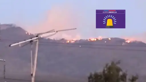Evacúan sector Alto Rucue en Antuco tras declaración de Alerta Amarilla por incendio forestal