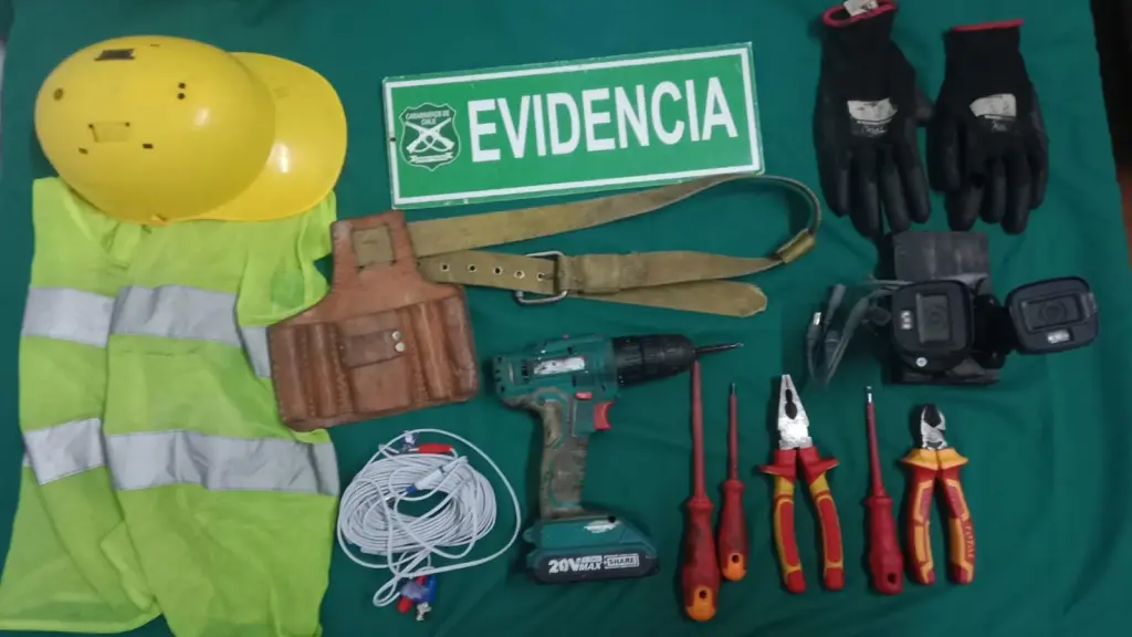 Especies incautadas por la Patrulla Foco, Cedida