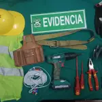 Especies incautadas por la Patrulla Foco, Cedida