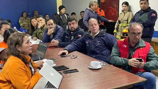 Realizan COGRID ante emergencia por incendio forestal que afecta a sector Alto Rucue en Antuco