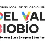 Slep del Valle Biobío, División de Educación Pública