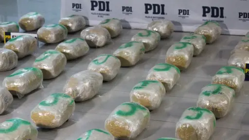 Desarticulan banda criminal y decomisan más de 91 kilos de cannabis en Atacama