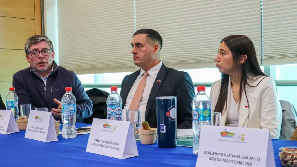Intervención alcalde de Negrete, Alfredo Peña. / Cedida
