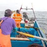 Más de 9 mil pescadores artesanales podrán acceder automáticamente al nuevo aporte para combustible anunciado por el Gobierno., contexto