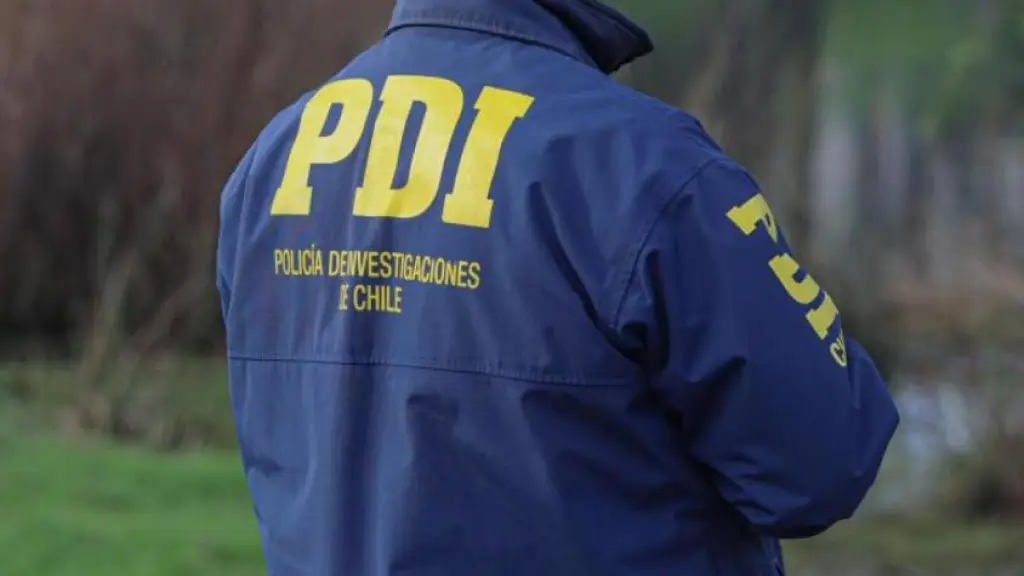 Las diligencias fueron lideradas por detectives de la PDI de Victoria, PDI Araucanía