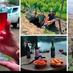“Biobío tiene una identidad vitivinícola única”: experto destaca potencial de la provincia en vinos patrimoniales, Diario La Tribuna