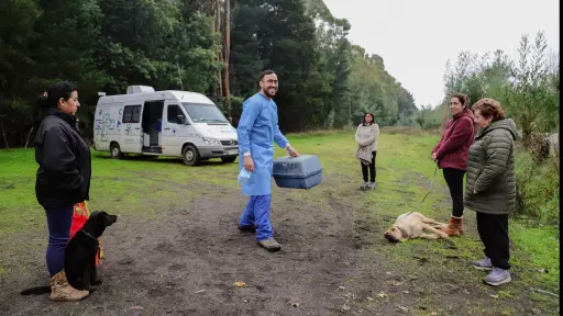 Más de cinco mil atenciones veterinarias reflejan creciente cuidado de mascotas en Cabrero