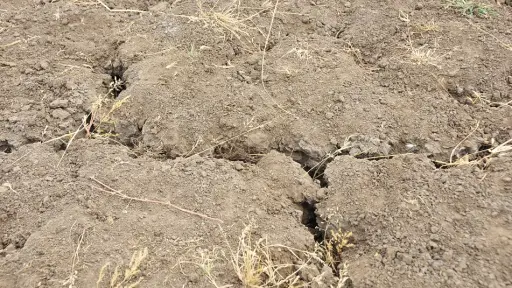Día Mundial de Lucha contra la Desertificación y la Sequía