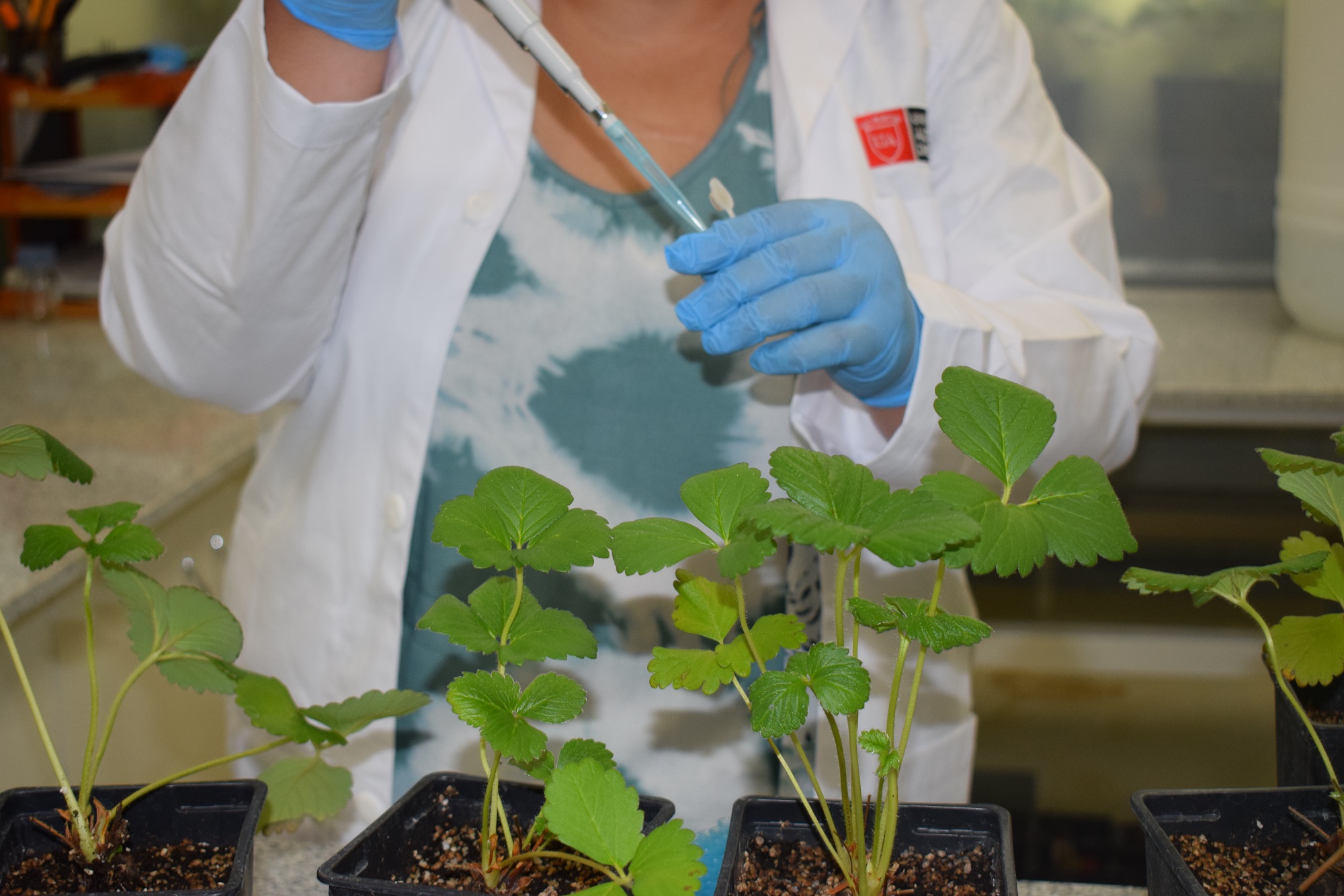 La implementación de sistemas técnicos avanzados orientados a mitigar los efectos de la escasez hídrica y variaciones climáticas extremas serán parte de los temas abordados en el encuentro. / Universidad Autónoma de Chile