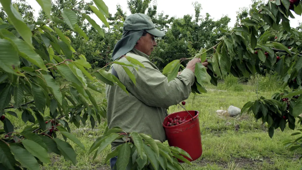 La implementación de sistemas técnicos avanzados orientados a mitigar los efectos de la escasez hídrica y variaciones climáticas extremas serán parte de los temas abordados en el encuentro.