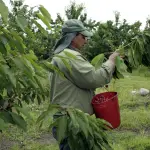 La implementación de sistemas técnicos avanzados orientados a mitigar los efectos de la escasez hídrica y variaciones climáticas extremas serán parte de los temas abordados en el encuentro.