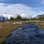 Nieve cordillerana, Municipalidad de Antuco