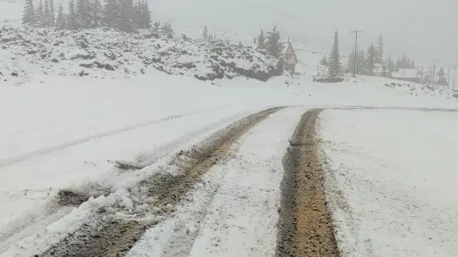 Primeras nevadas en Antuco y Alto Biobío mantienen rutas habilitadas y bajo monitoreo