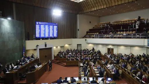Despachan a ley proyecto que prohíbe armas de fuego a procesados y condenados por violencia intrafamiliar